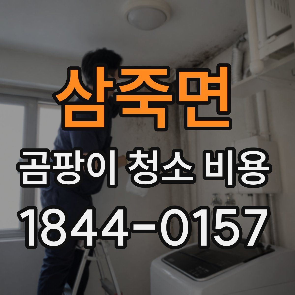 삼죽면 곰팡이 청소 비용 욕실 실리콘 곰팡이가 잘 생기는 환경 정리
