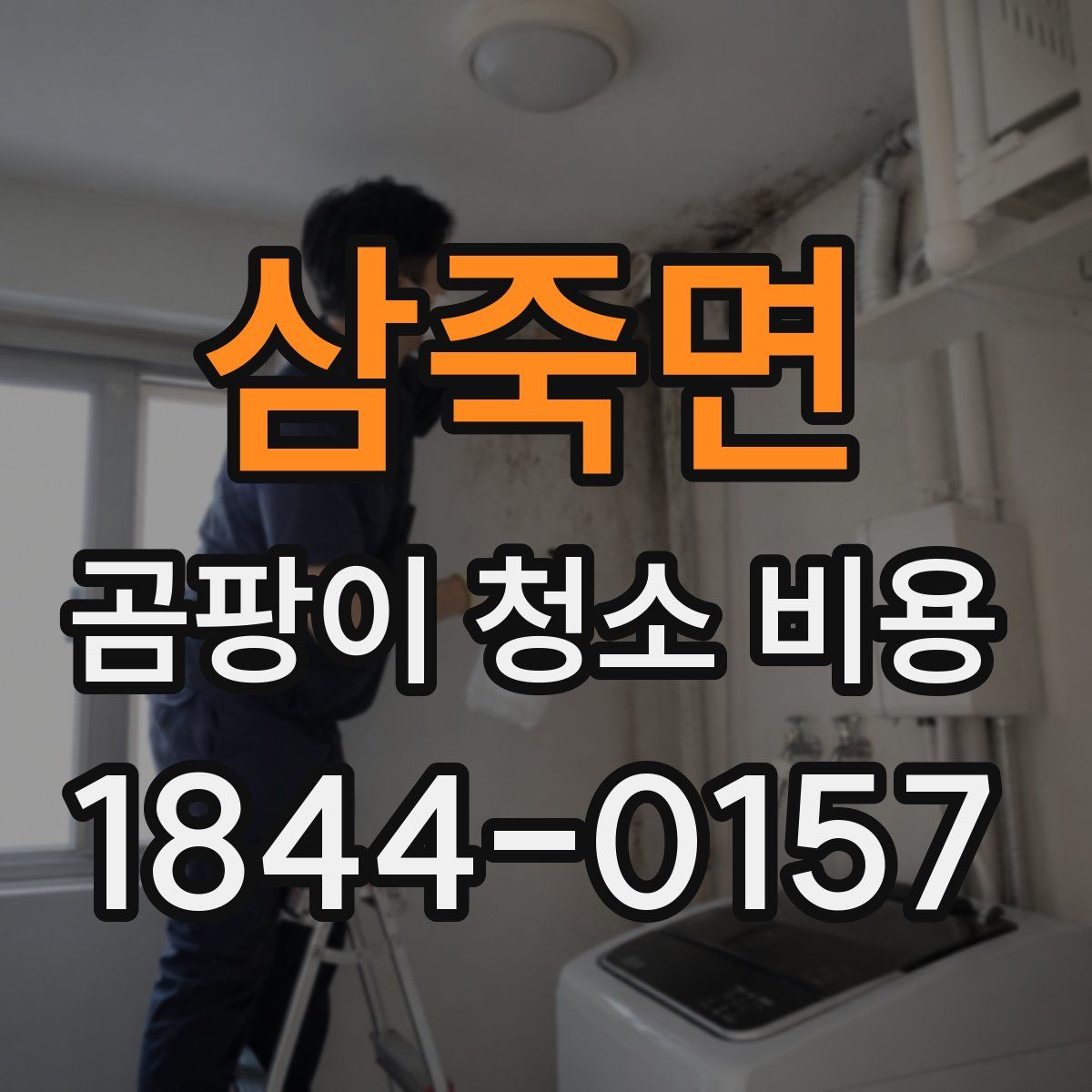 삼죽면 곰팡이 청소 비용