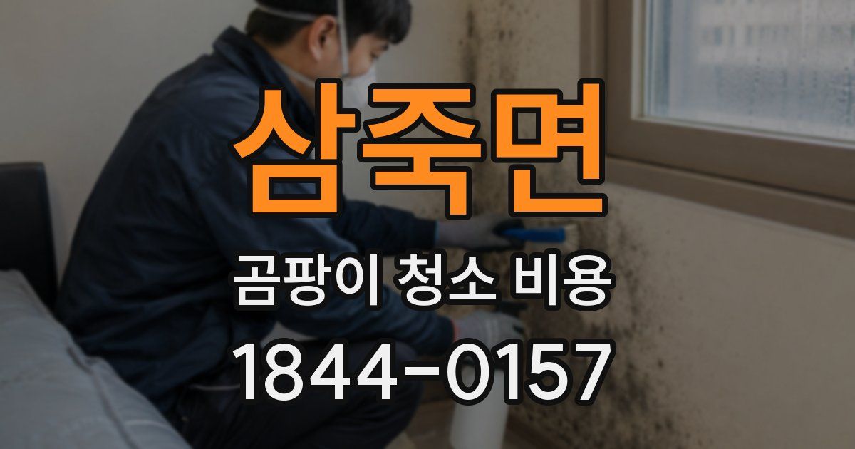 삼죽면 곰팡이 청소 비용