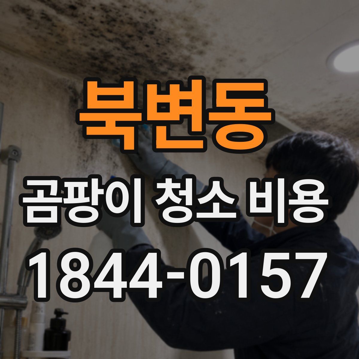북변동 곰팡이 청소 비용
