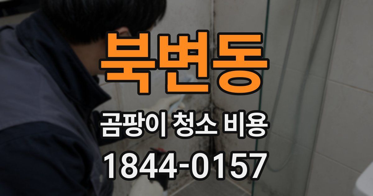 북변동 곰팡이 청소 비용