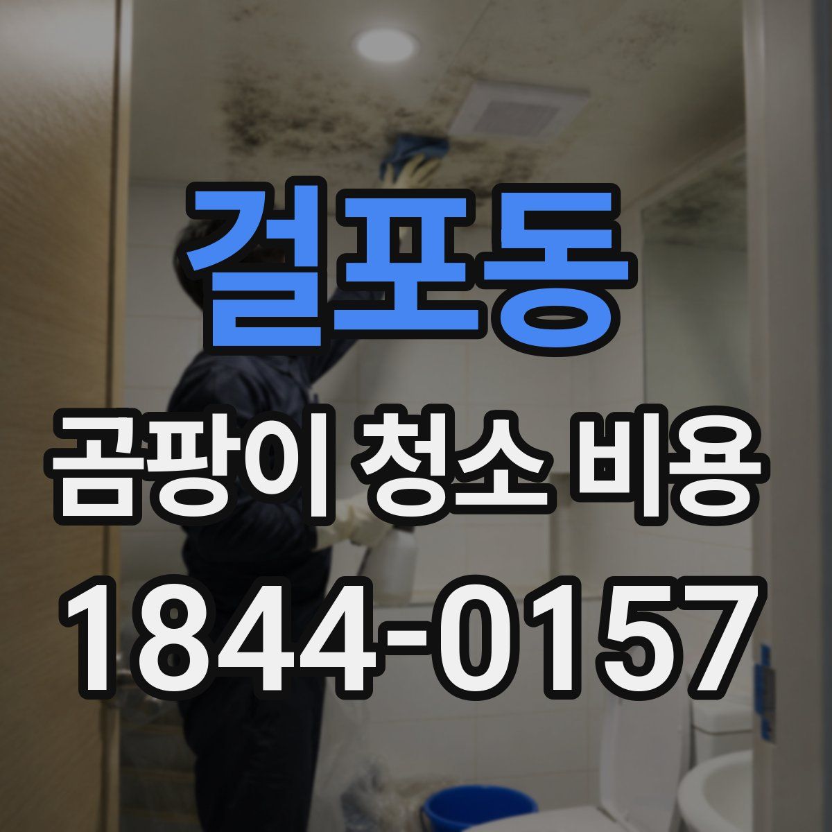 걸포동 곰팡이 청소 비용
