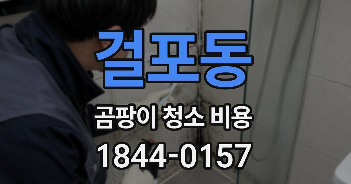 걸포동 곰팡이 청소 비용