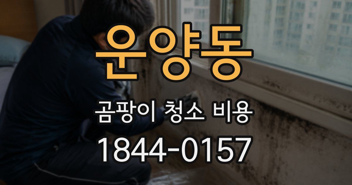 운양동 곰팡이 청소 비용