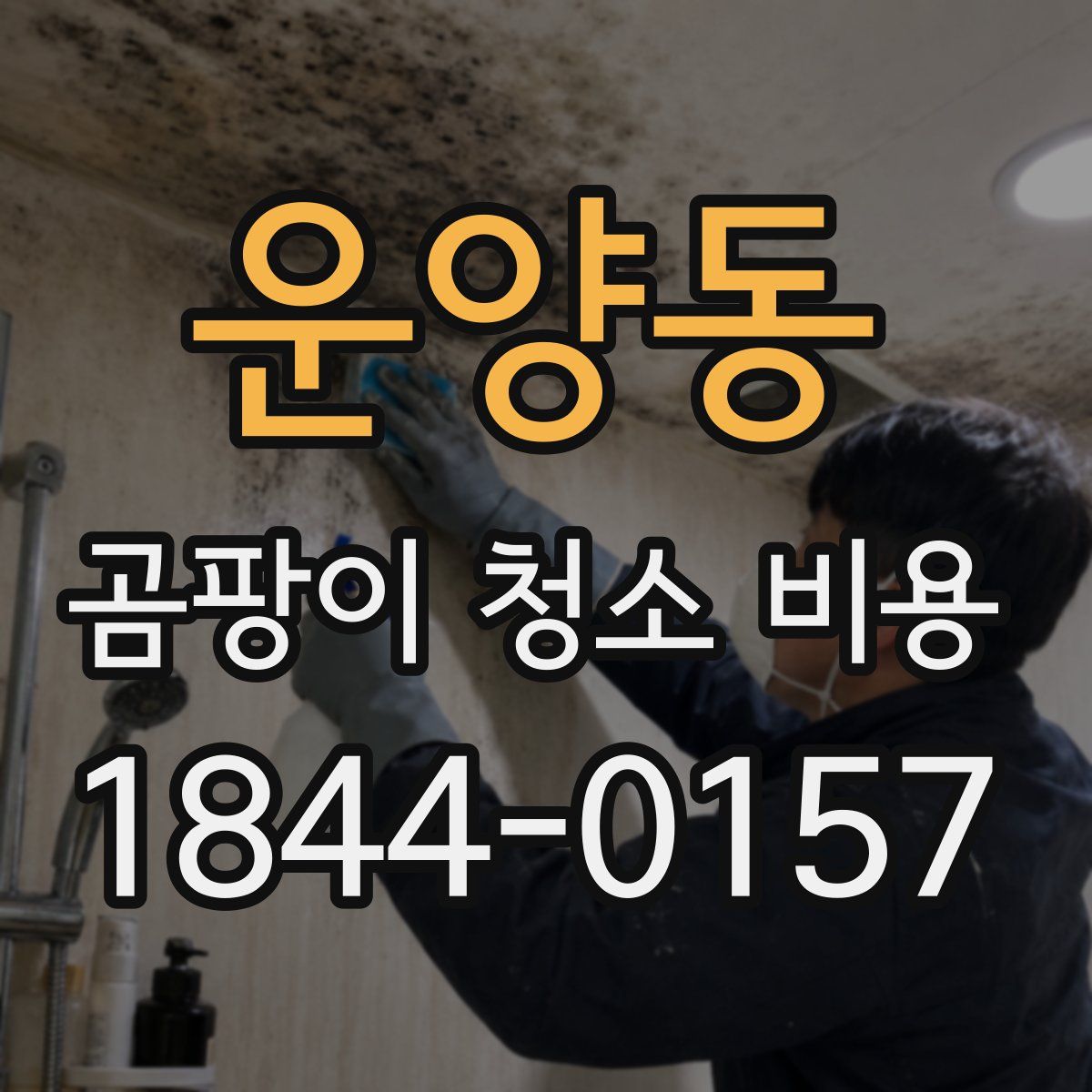 운양동 곰팡이 청소 비용