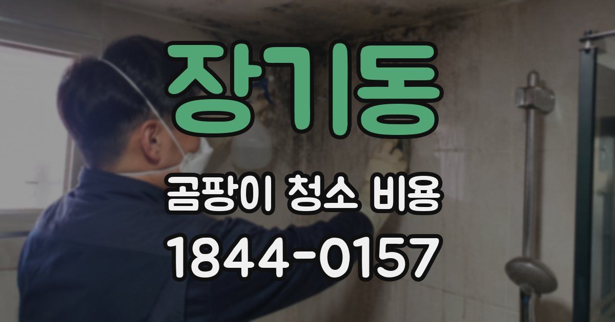 장기동 곰팡이 청소 비용