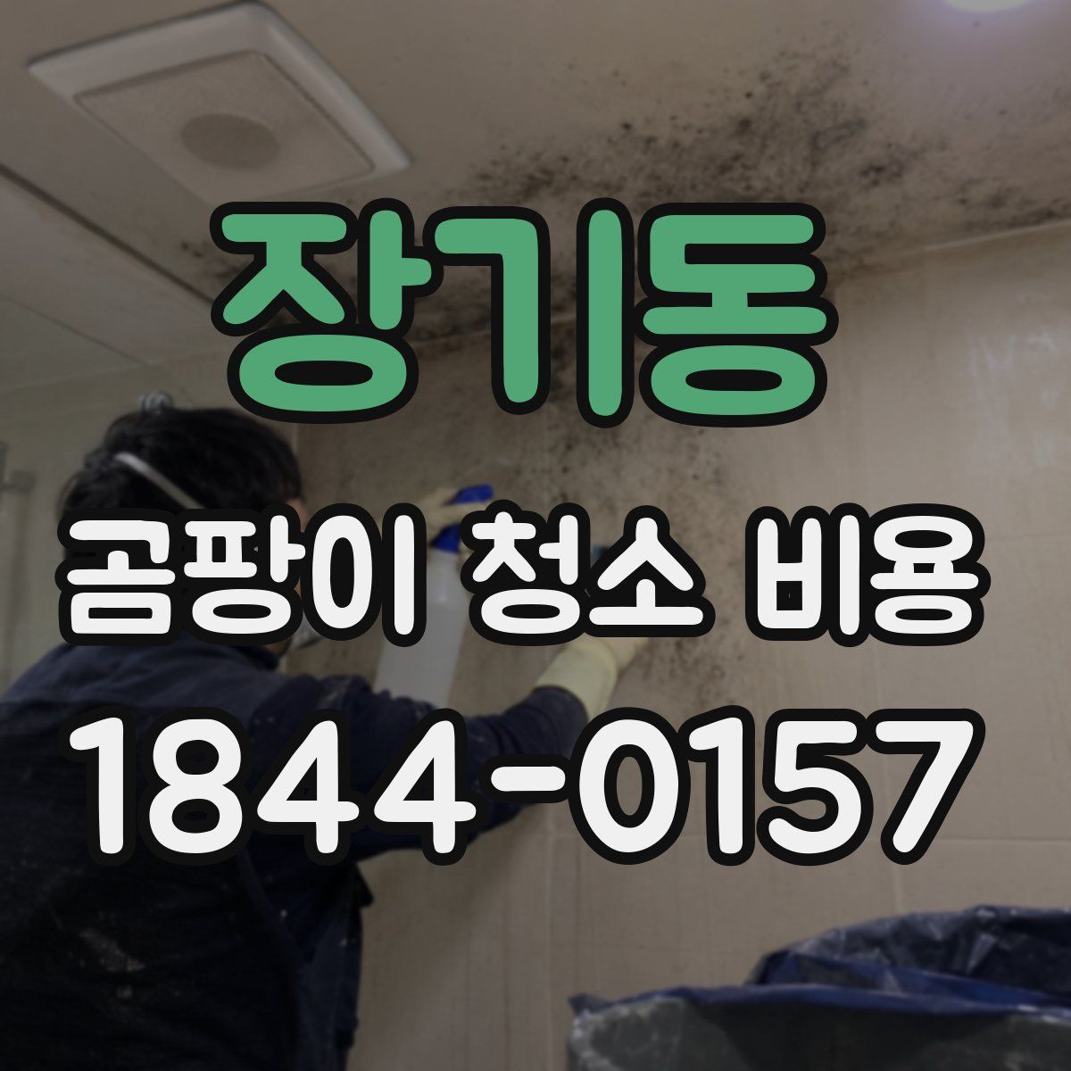 장기동 곰팡이 청소 비용