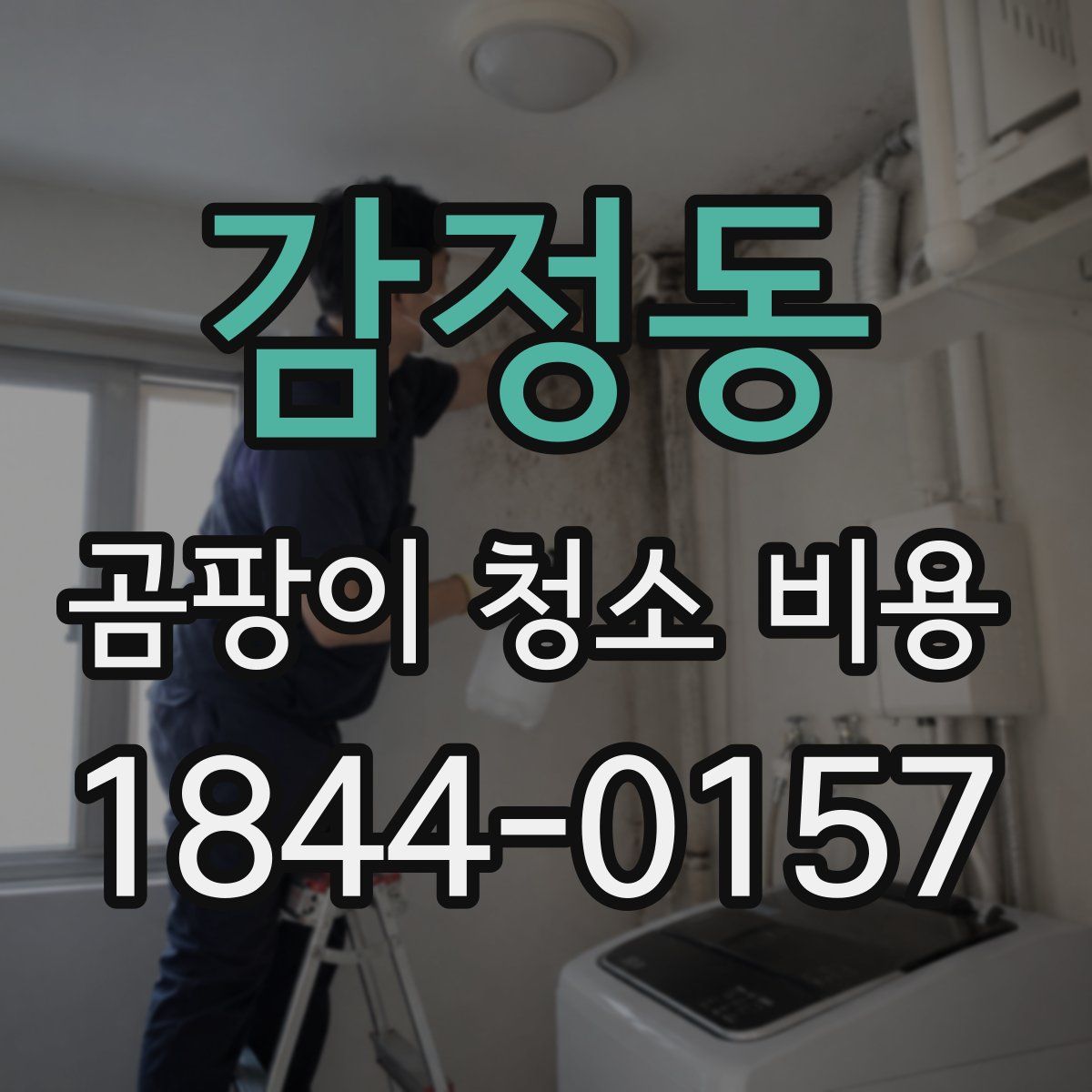 감정동 곰팡이 청소 비용