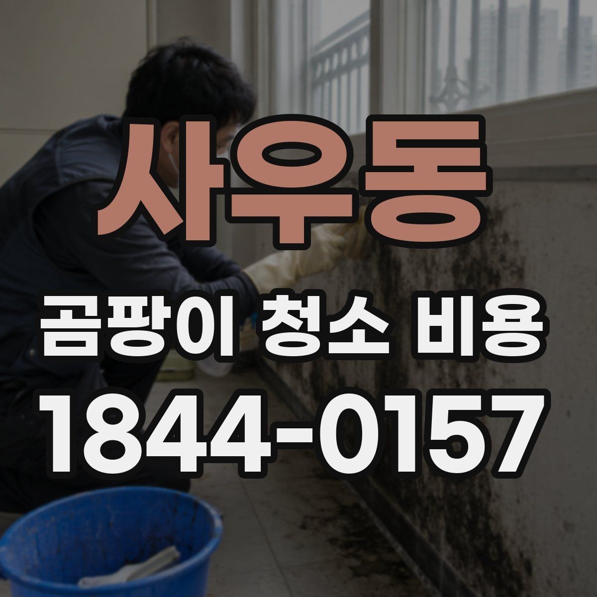 사우동 곰팡이 청소 비용 종류에 따라 달라지는 곰팡이 대응 차이 정리