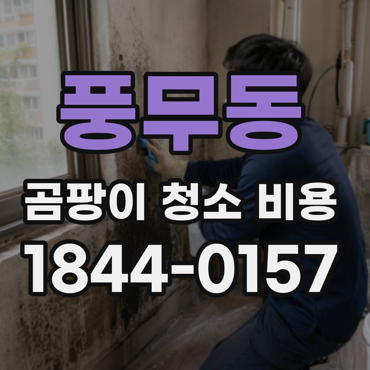풍무동 곰팡이 청소 비용