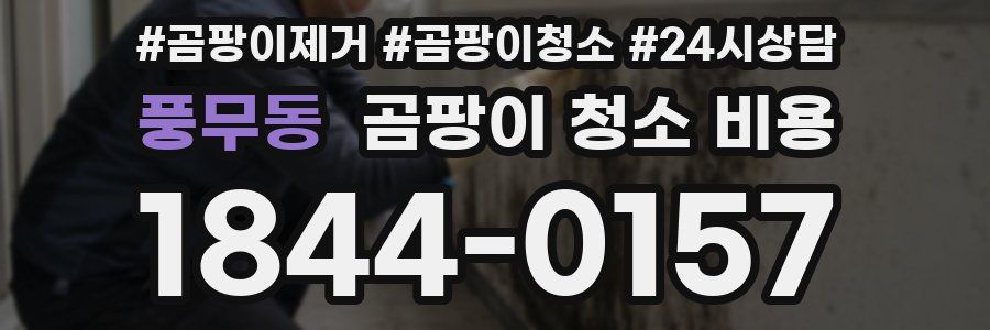 풍무동 곰팡이 청소 비용