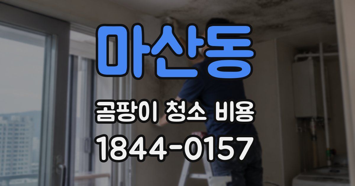 마산동 곰팡이 청소 비용