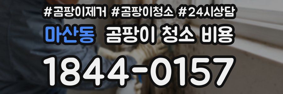 마산동 곰팡이 청소 비용