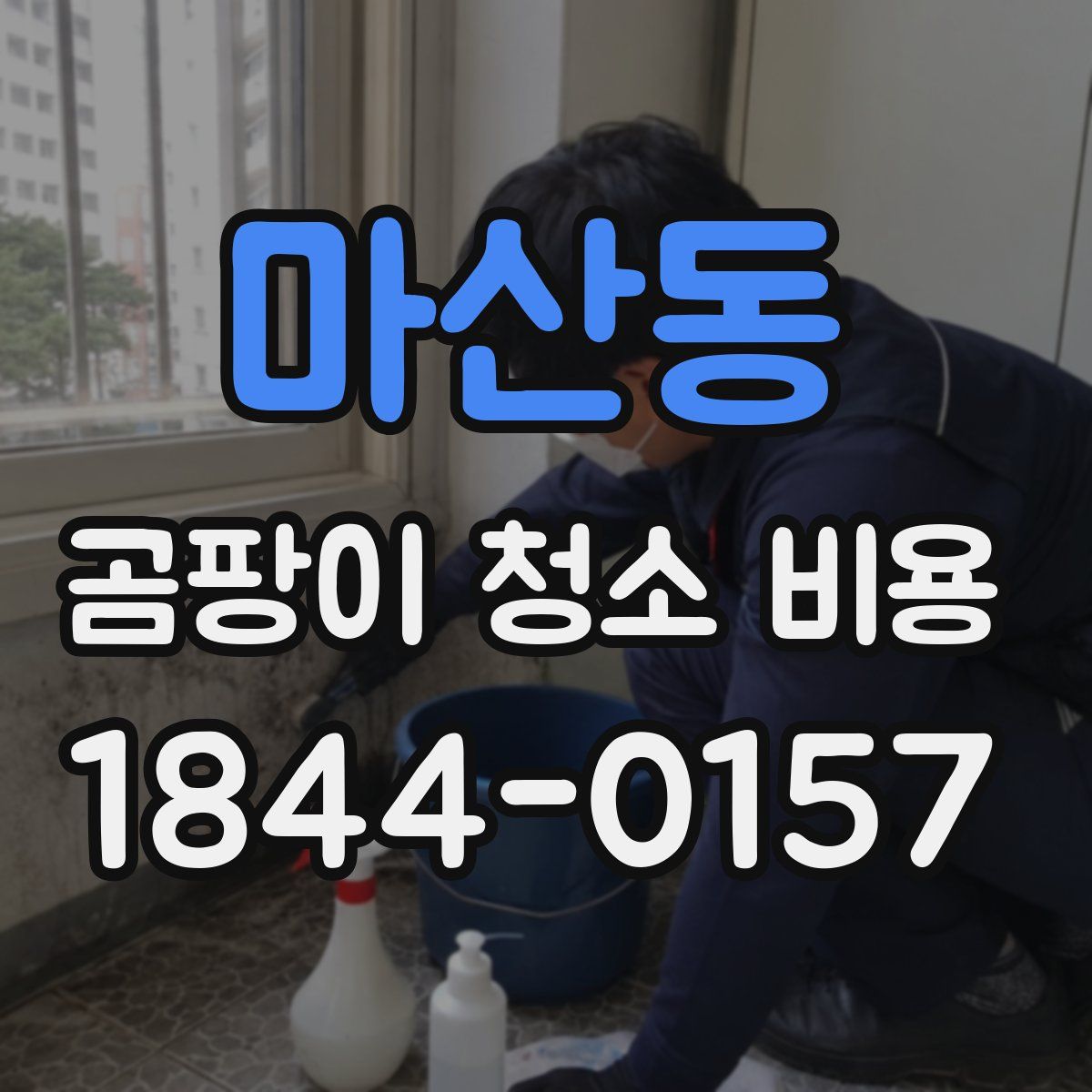 마산동 곰팡이 청소 비용