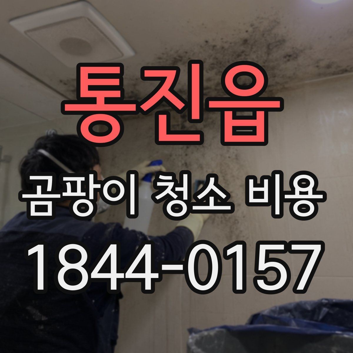 통진읍 곰팡이 청소 비용 약품 농도와 작업 시간이 달라지는 기준