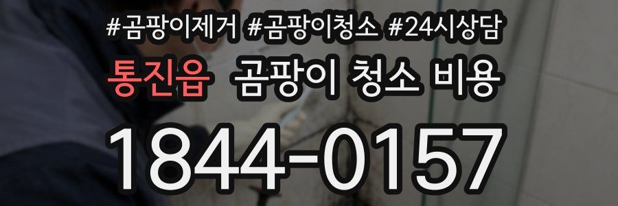 통진읍 곰팡이 청소 비용