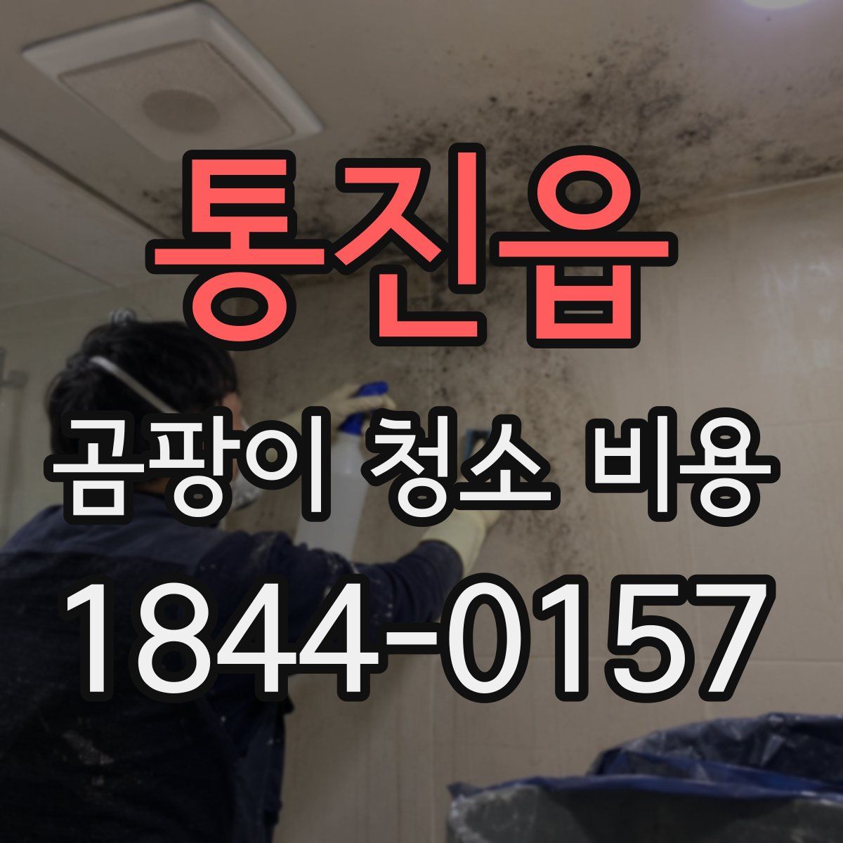통진읍 곰팡이 청소 비용