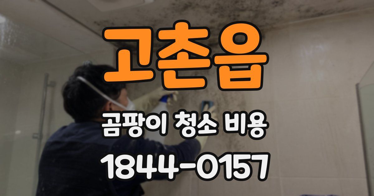 고촌읍 곰팡이 청소 비용