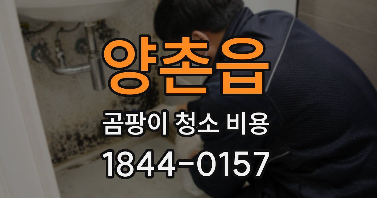 양촌읍 곰팡이 청소 비용