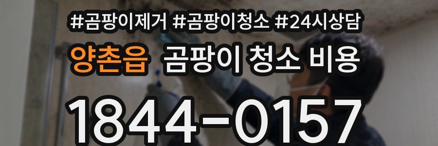 양촌읍 곰팡이 청소 비용