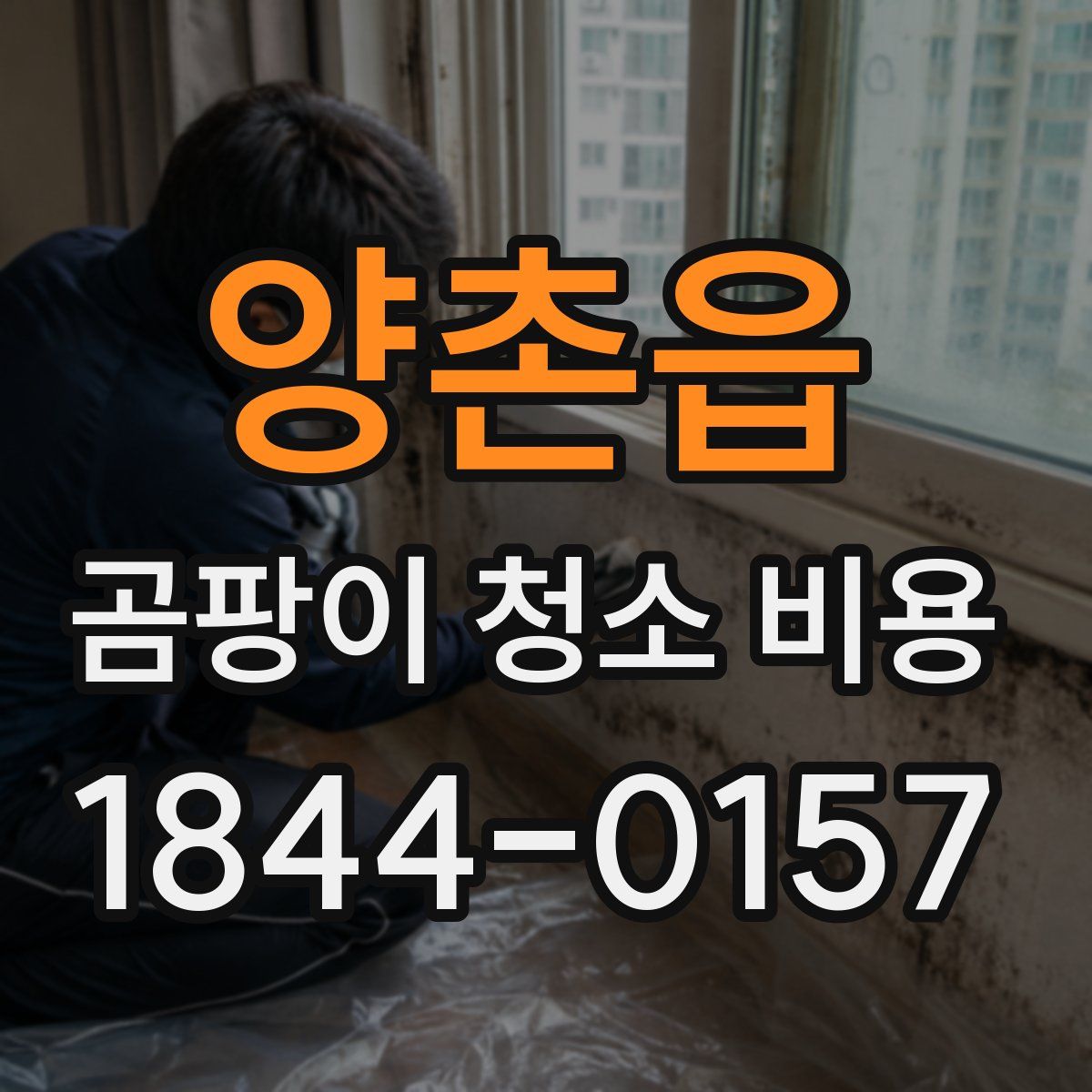 양촌읍 곰팡이 청소 비용