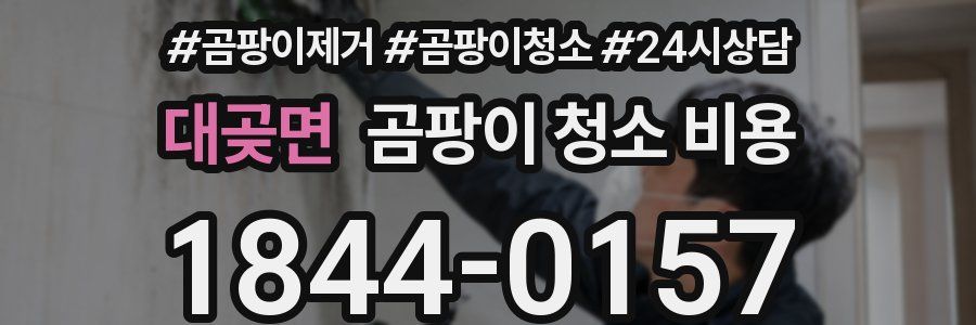 대곶면 곰팡이 청소 비용