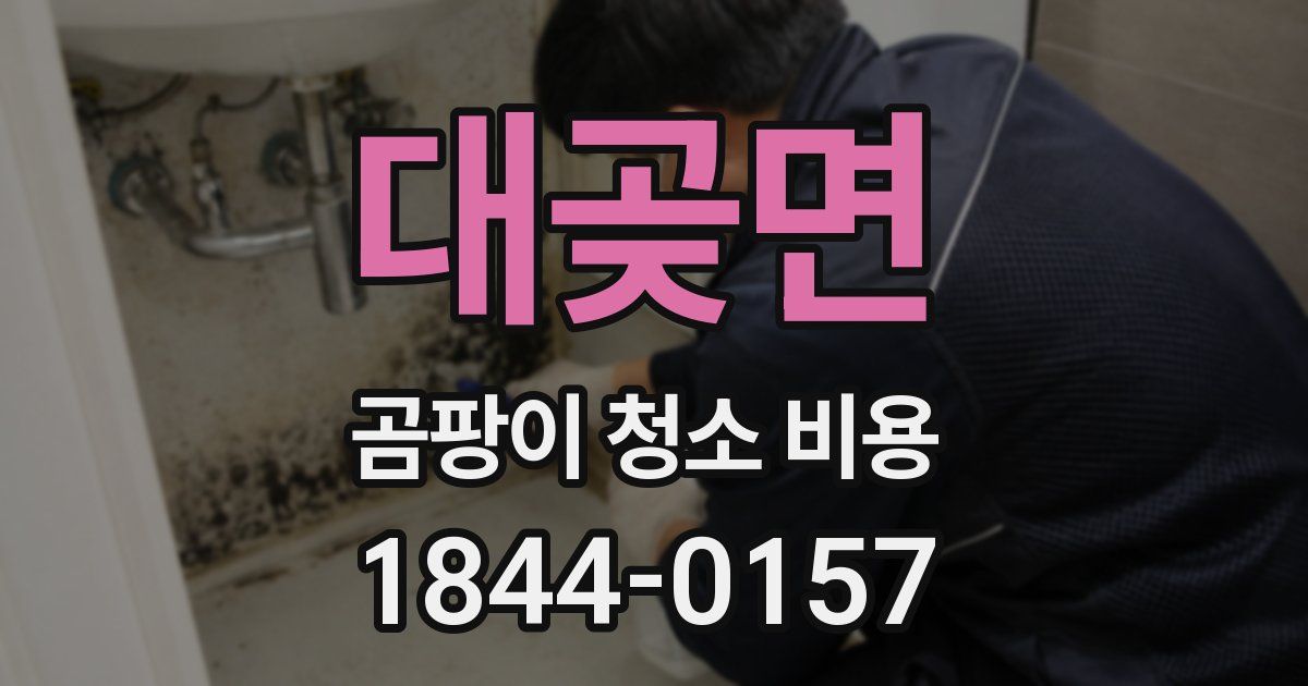 대곶면 곰팡이 청소 비용
