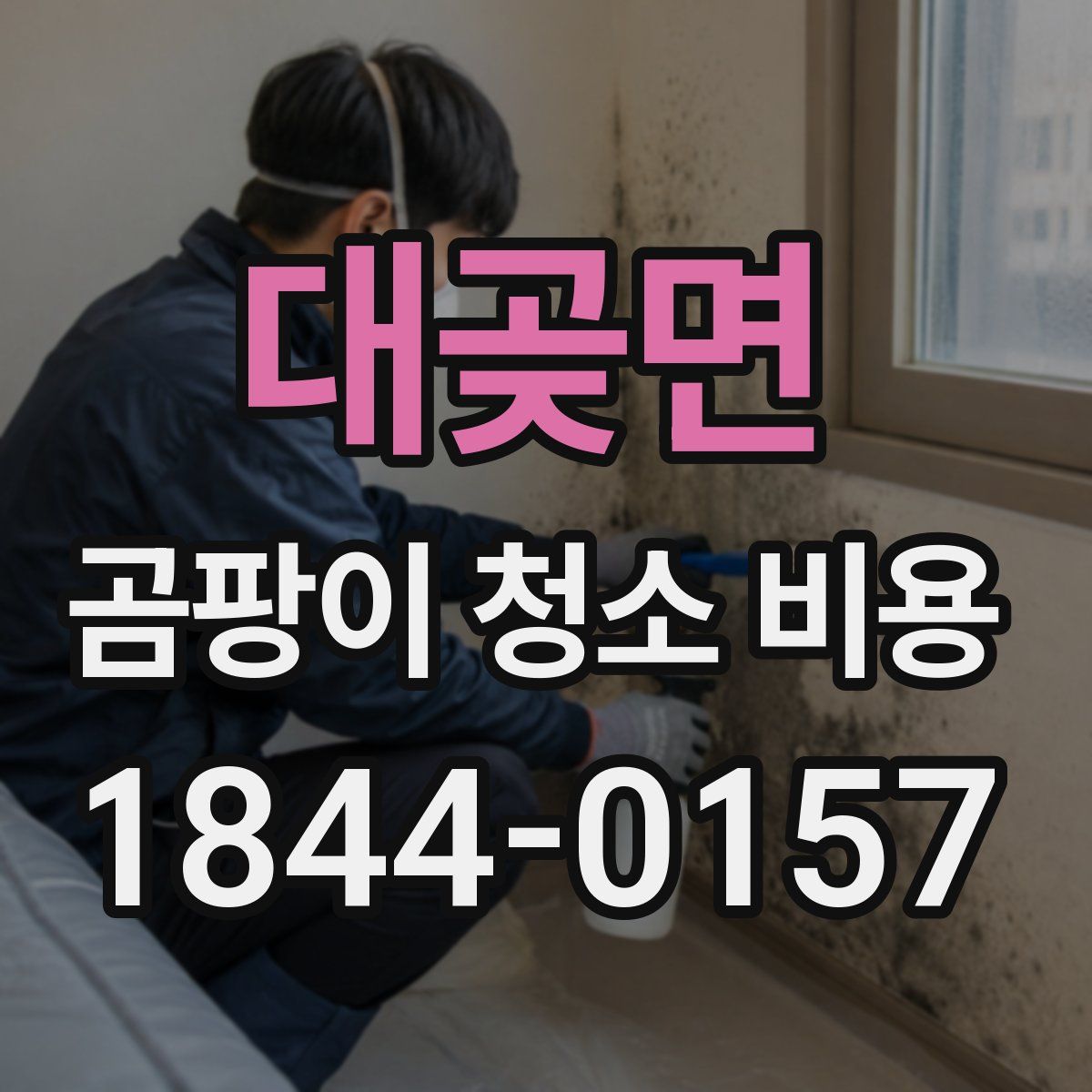 대곶면 곰팡이 청소 비용
