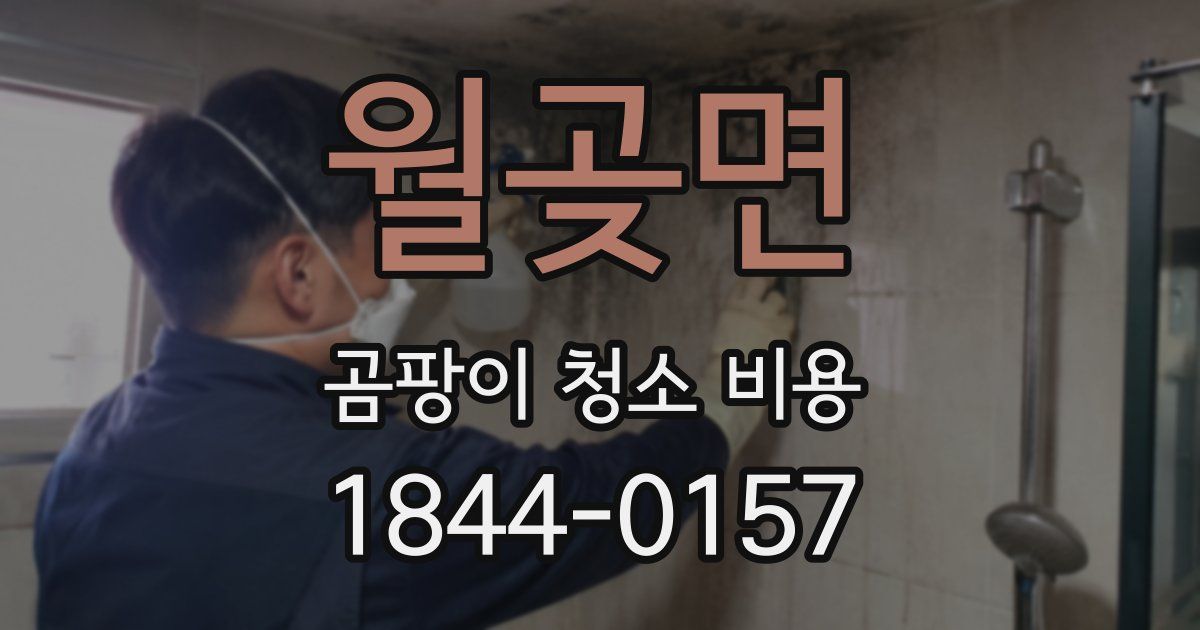 월곶면 곰팡이 청소 비용