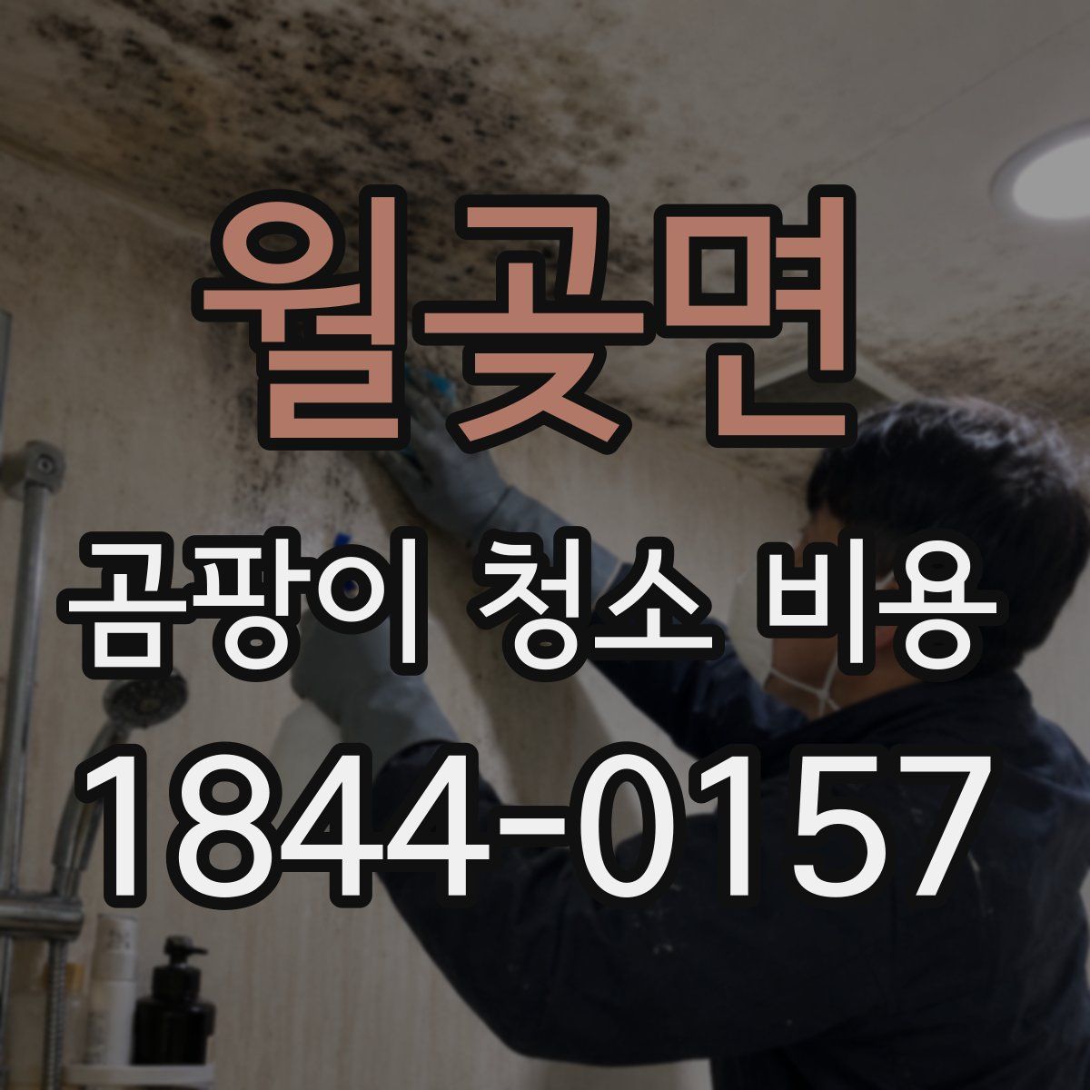 월곶면 곰팡이 청소 비용