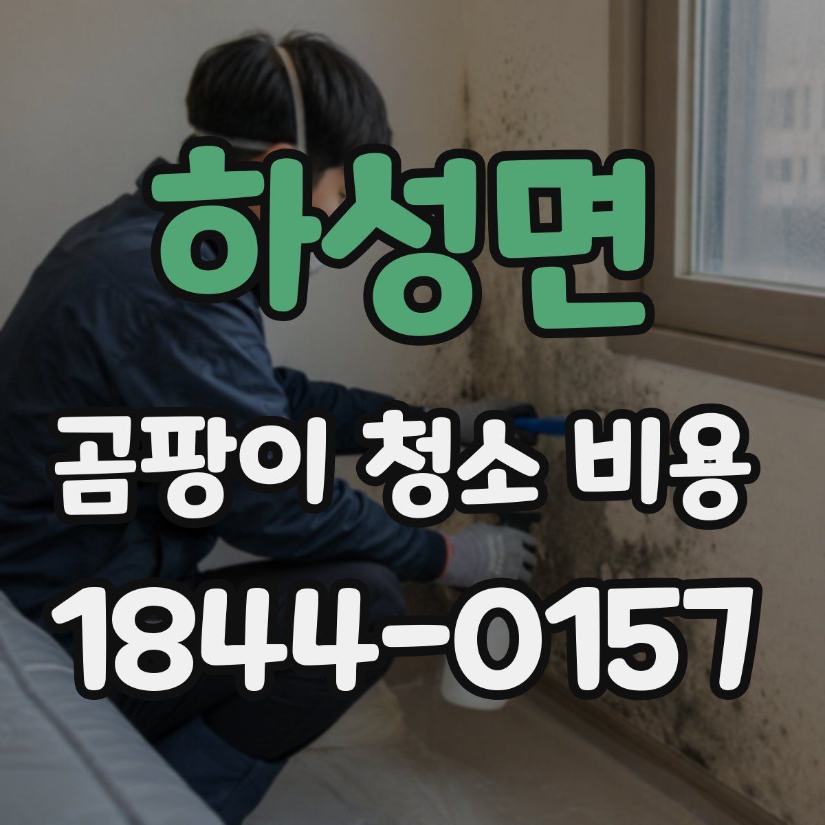 하성면 곰팡이 청소 비용