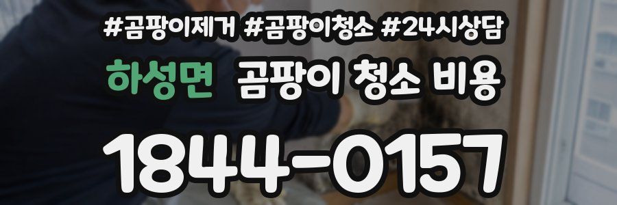 하성면 곰팡이 청소 비용