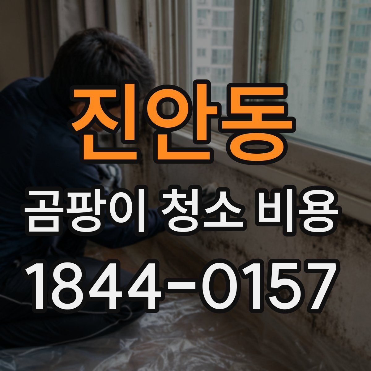 진안동 곰팡이 청소 비용
