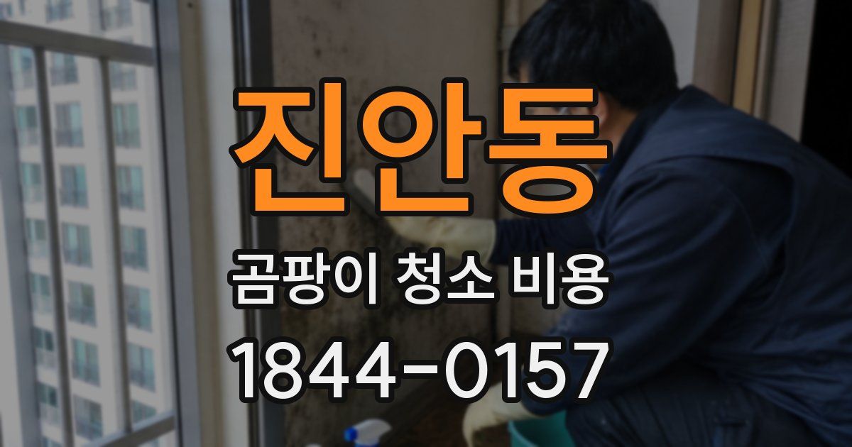 진안동 곰팡이 청소 비용
