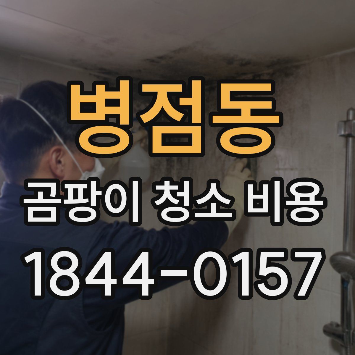병점동 곰팡이 청소 비용