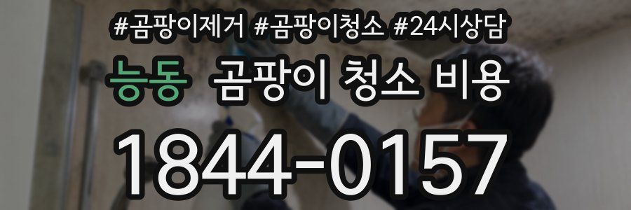 능동 곰팡이 청소 비용
