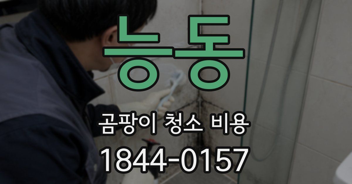 능동 곰팡이 청소 비용