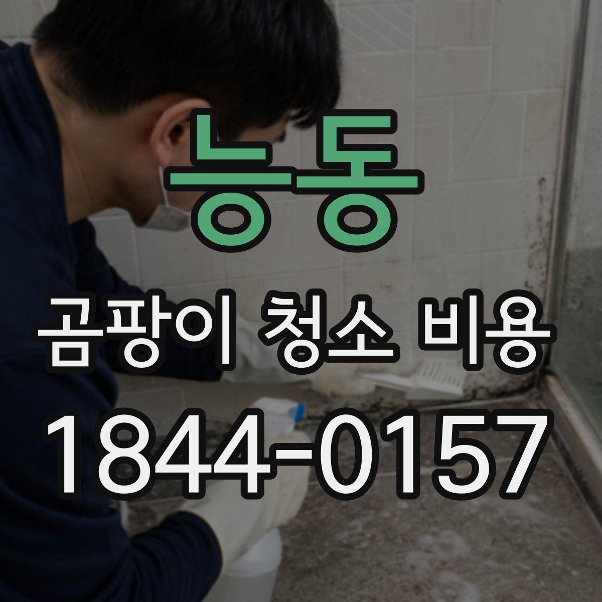 능동 곰팡이 청소 비용