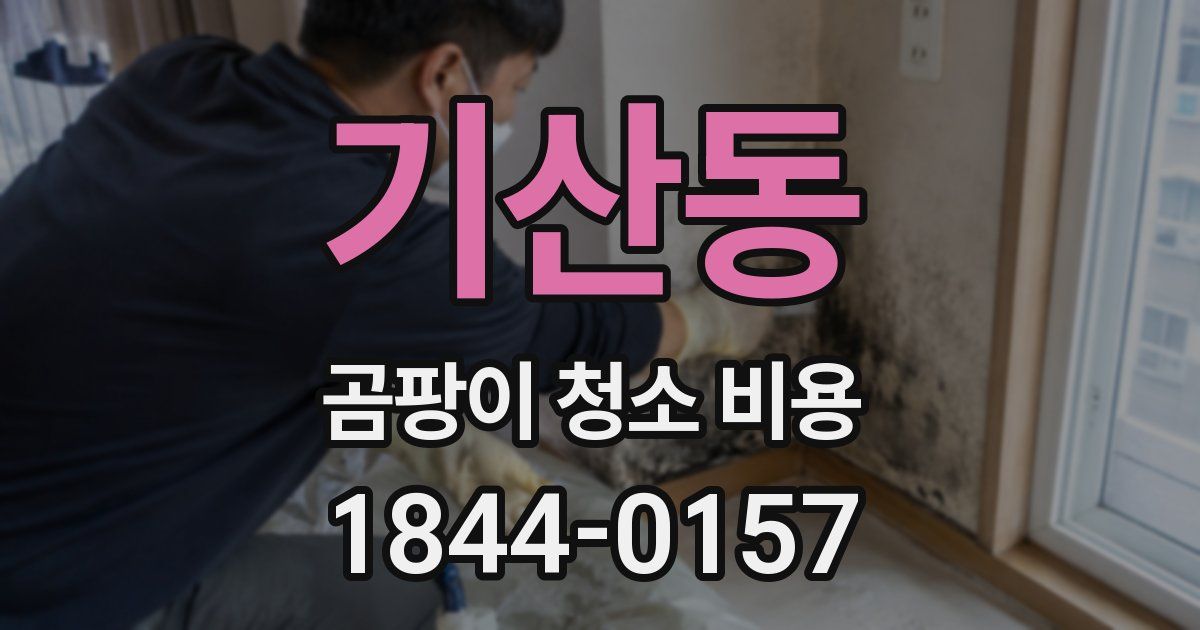기산동 곰팡이 청소 비용