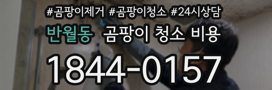반월동 곰팡이 청소 비용