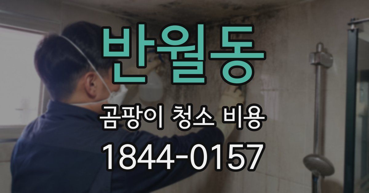 반월동 곰팡이 청소 비용