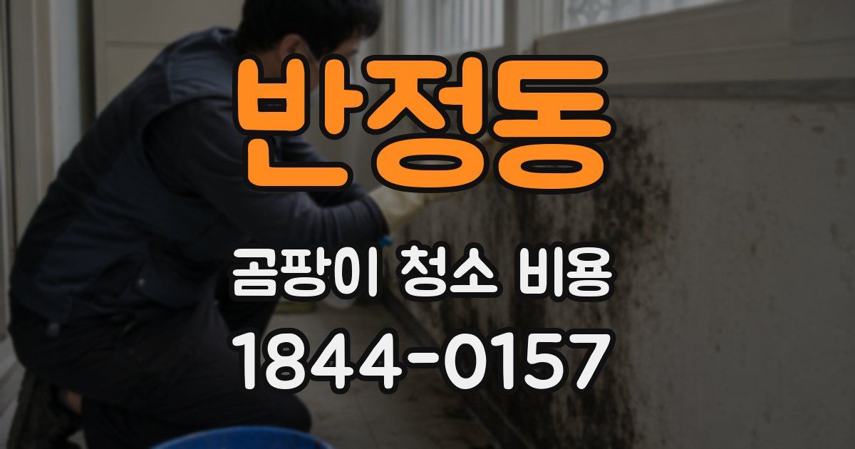 반정동 곰팡이 청소 비용