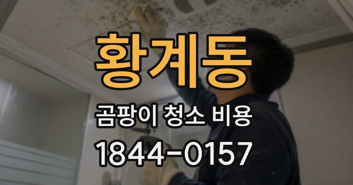 황계동 곰팡이 청소 비용