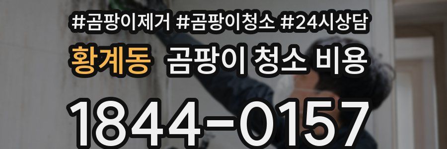 황계동 곰팡이 청소 비용