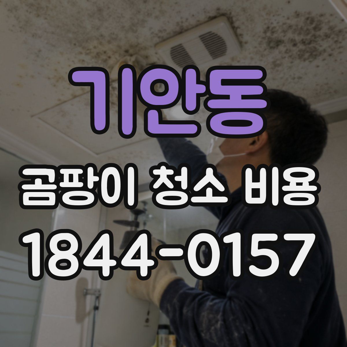 기안동 곰팡이 청소 비용
