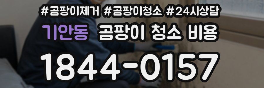 기안동 곰팡이 청소 비용