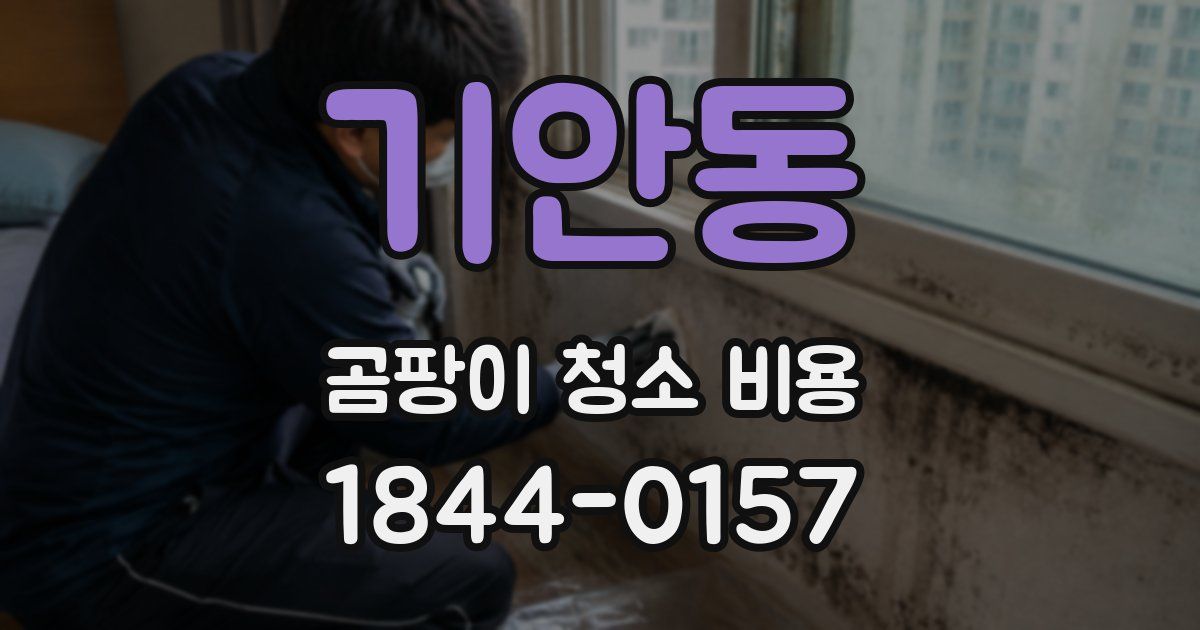 기안동 곰팡이 청소 비용