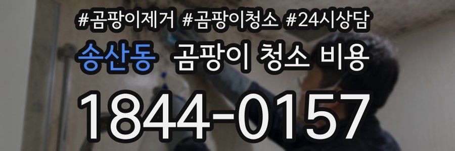송산동 곰팡이 청소 비용