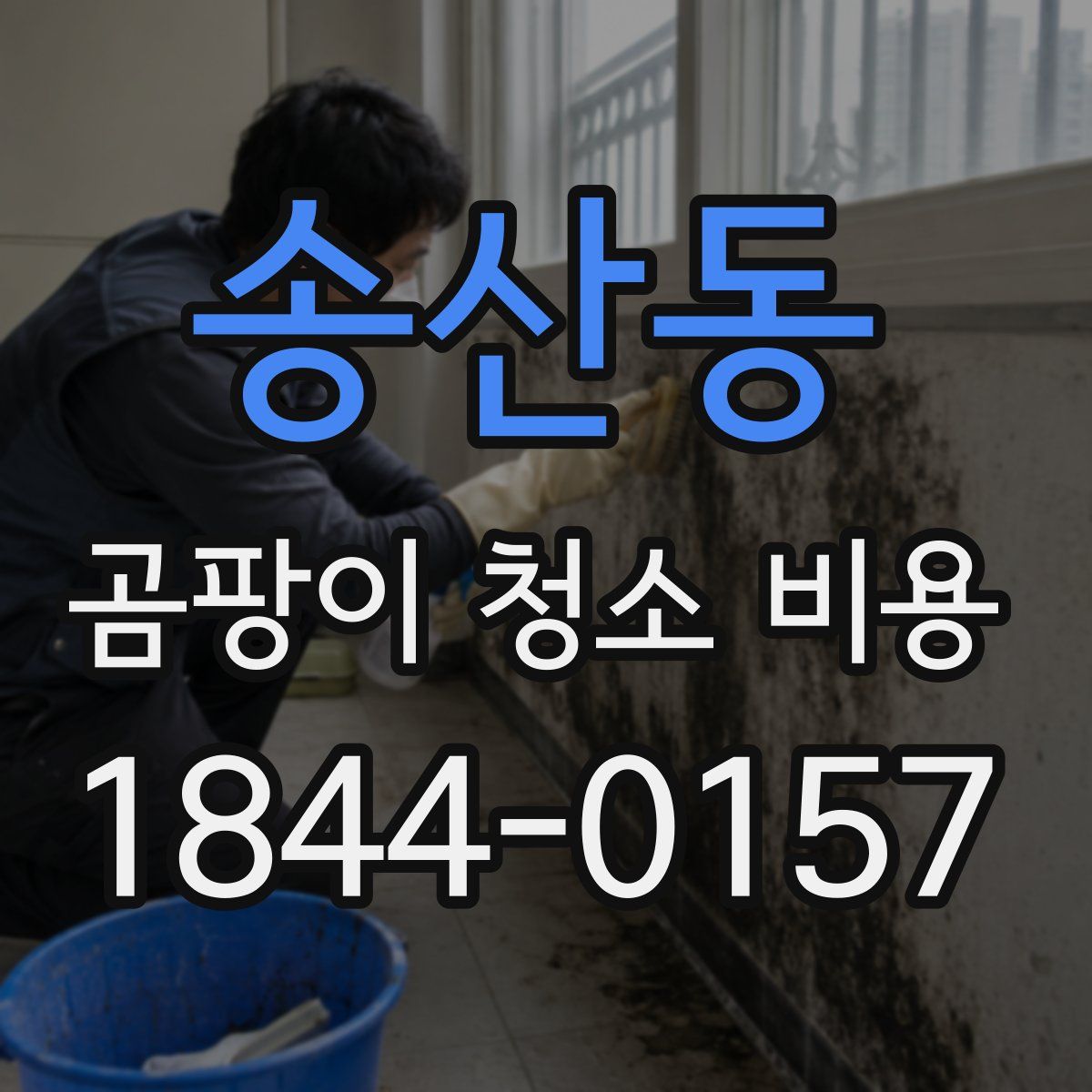 송산동 곰팡이 청소 비용