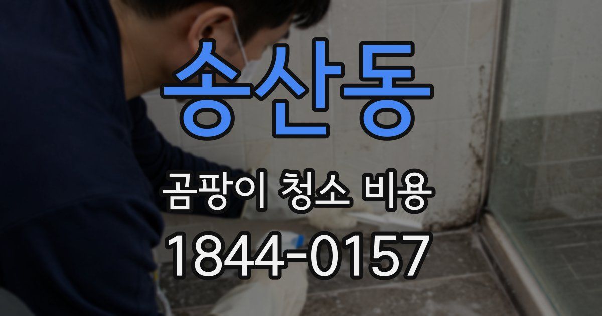 송산동 곰팡이 청소 비용